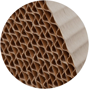 紙漿和造紙應用泵 